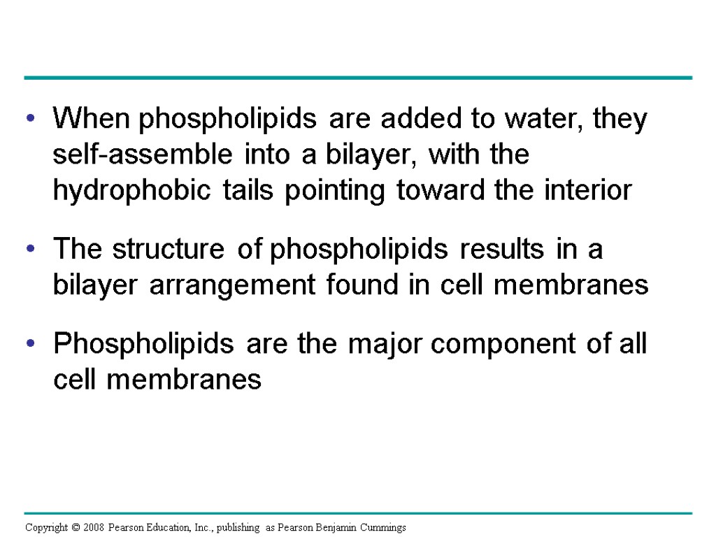 When phospholipids are added to water, they self-assemble into a bilayer, with the hydrophobic